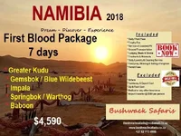 Namibia4.webp