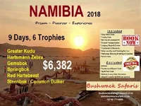 Namibia1.webp