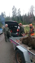 Zweden SD aanhanger.webp