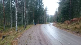 Zweden SD road.webp