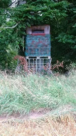 DSC_0298.webp