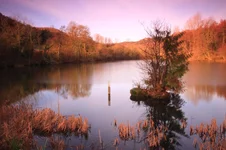 Golden DawnLS2.webp Golden DawnLS2.webp