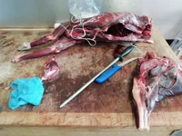venison 3.webp