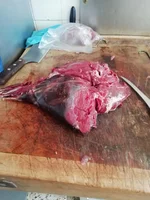 venison 4-19.webp