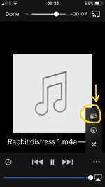 VLC_loop_setPNG.webp VLC_loop_setPNG.webp