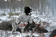 sau12.webp