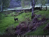 DSCF0042.webp
