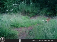 HUNT0142.webp