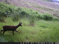 DSCF0008.jpg