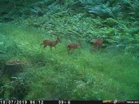 PICT0042.webp