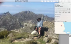 Poppy on Goat fell 2017.webp Poppy on Goat fell 2017.webp