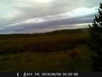 IMAG0069.JPG