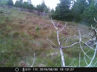 IMAG0086.webp