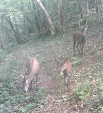 20180930_212036.webp