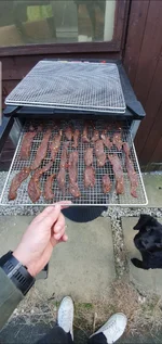Screenshot_20190928-085953_Gallery.webp Screenshot_20190928-085953_Gallery.webp