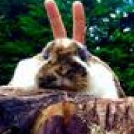 rabbit fingers