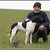 tony rentokil