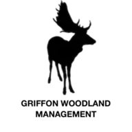 Griffon Woodland