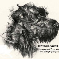 HUNTING DOGS EUROPE