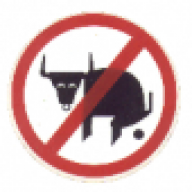 antsa