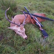 Pro_carper
