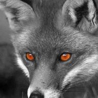 blueeyes
