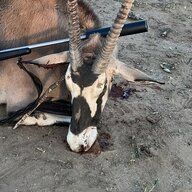Oryx
