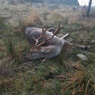 Devon.audus94