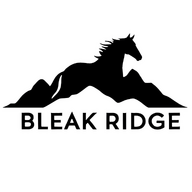 Bleakridge