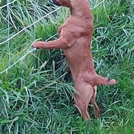 Crofter