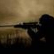 varmint223