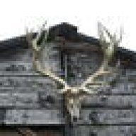 Buckbones