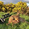 ABZ Roe Hunter