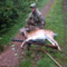 Tikka84