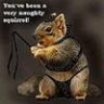 squirrelnutkin