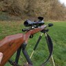 Bucks&Ducks