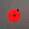 contact061