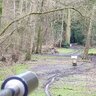 OzzyofWoking
