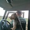 Albert6x47