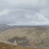 scottishdeerman
