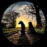 BlackLabsPete