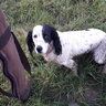 Coppiceside_pete