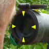 accucover