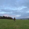 goneshooting