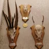 BerettaAndBoots
