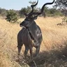 Imbabala