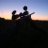 Mr Free Market
