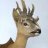 Markdeer