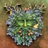 The Green Man