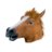 Horse Guy